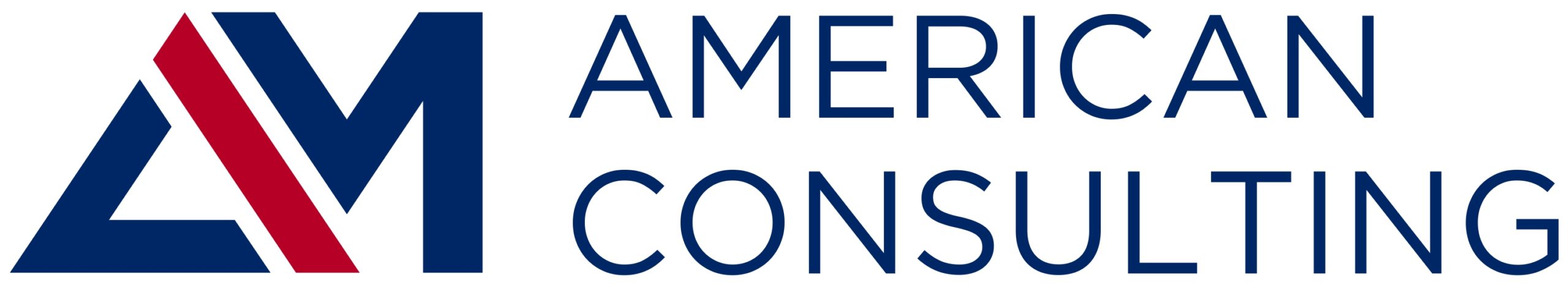 AM AMERICAN CONSULTING